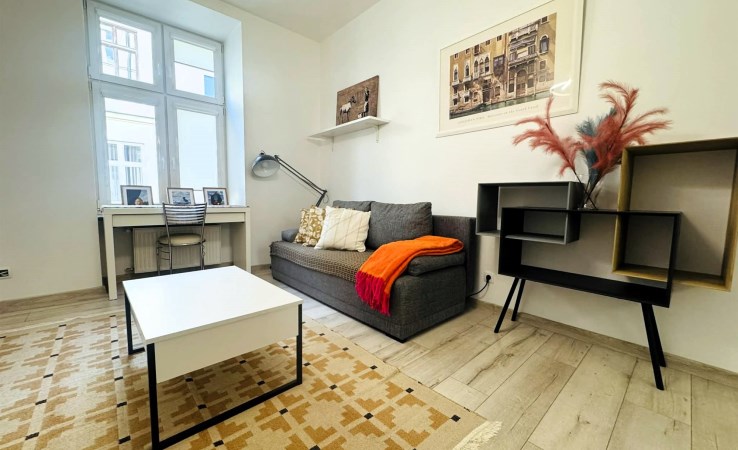 mieszkanie na wynajem - Łódź, Śródmieście, Piotrkowska